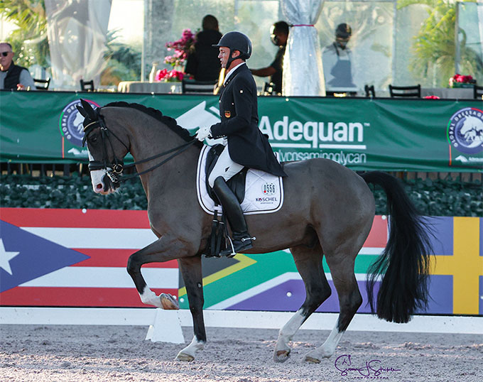 Germans Koschel and Wandres Sweep Grand Prix Tests at 2021 CDI Wellington - Vimarsana News