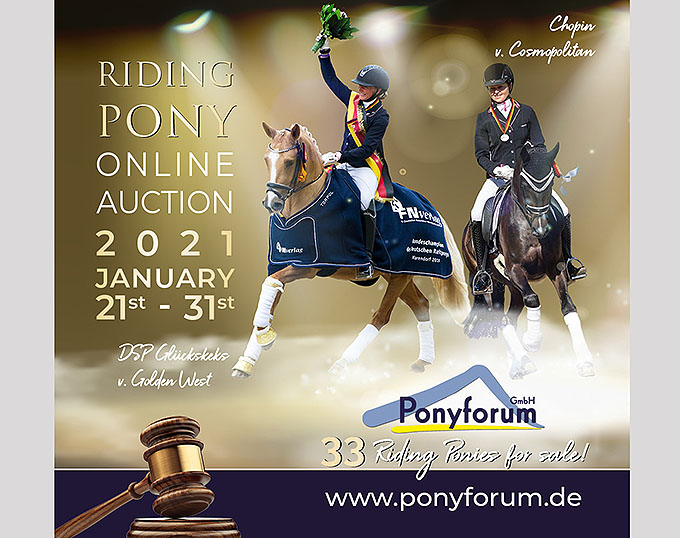 Ponyforum Online Auction of Riding Ponies on 21 - 31 January 2021