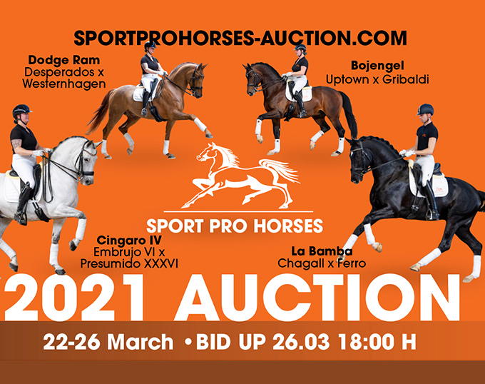 2021 Sport Pro Horses Spring Online Auction From Gifted Youngsters to