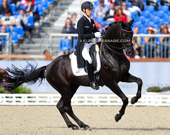 The Essential Guide to the Canter Pirouette Part V Evaluation from