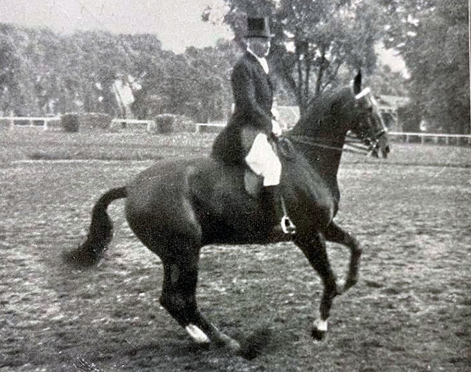 The Essential Guide to the Canter Pirouette Part II Pirouettes in