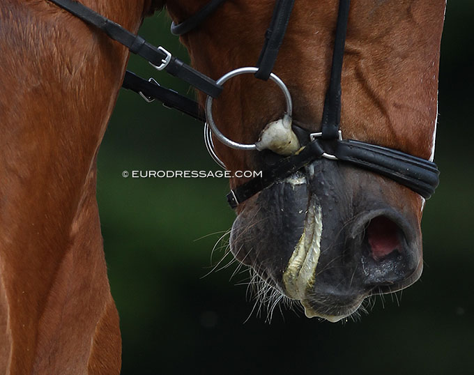 Danish Equestrian Federation Carries Out Tack Checks - Ponies Sent Home ...