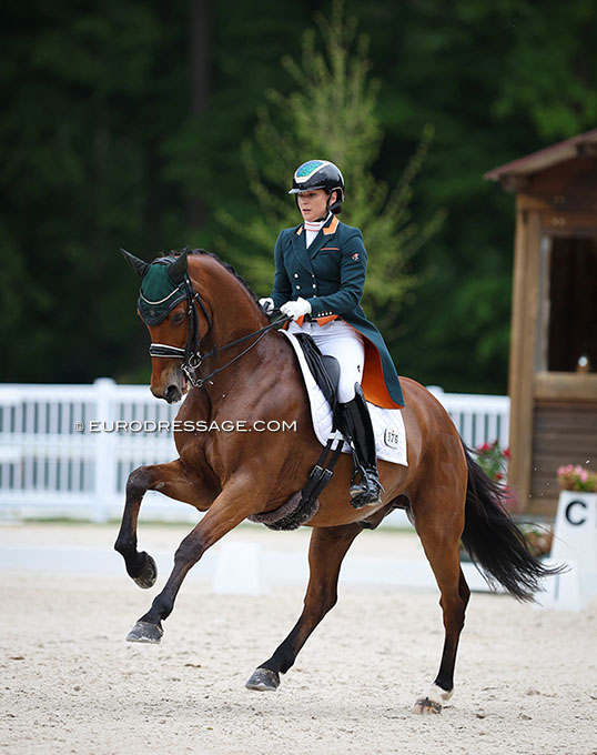 Irish Team Named for 2022 World Championships Dressage