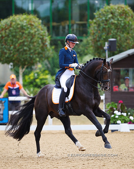 Lennox U.S. Sold to German Pony Rider