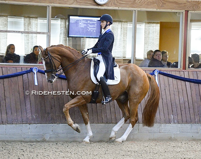 Danish Young Rider Kristian Würtz Green Premiers Blue Hors Zepter