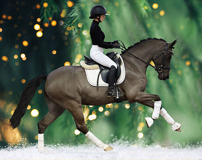 Ponyforum GmbH: Last Chance 2022 - Start of the Riding Pony Auction