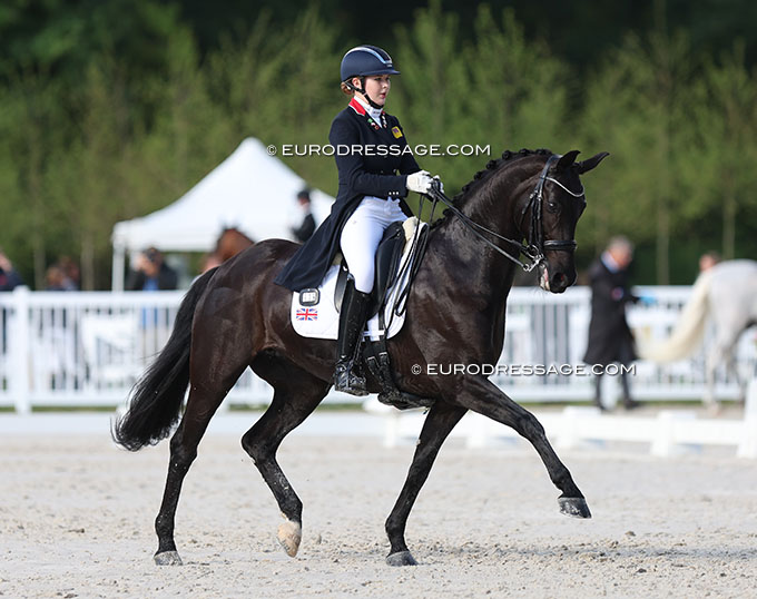 British Junior Rider's Horse Mount St. John Furstin Fugger Finds ...