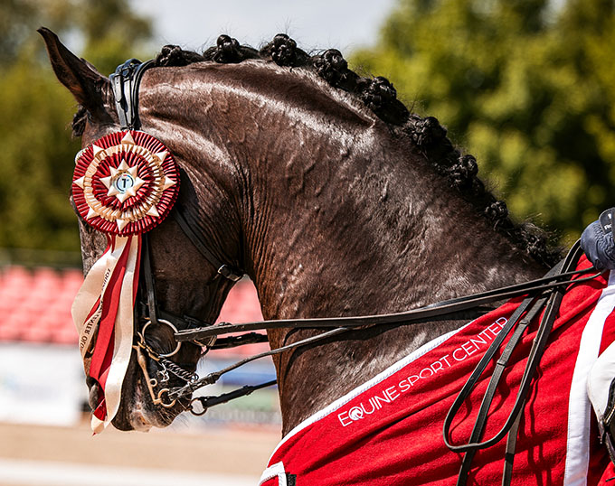 Centrum koňských sportů Olomouc vítá zpět Mezinárodní drezurní soutěž 2023 CDI3*/CDI-W
