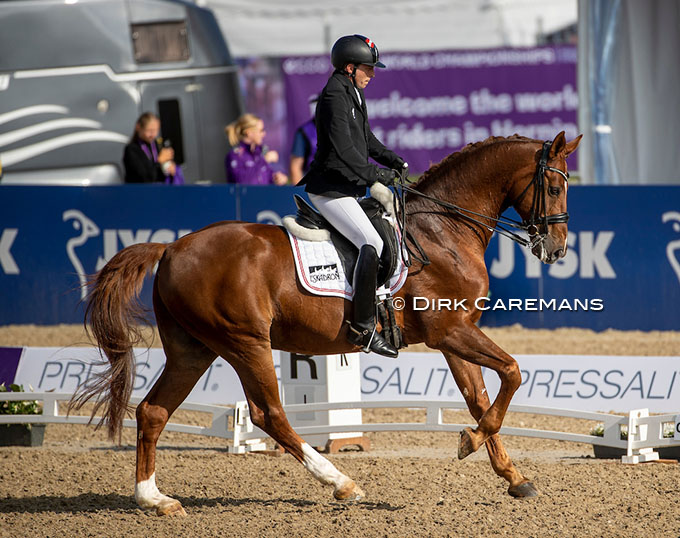 Austrian Para Rider Bernd Brugger Finds New Horse for the Future