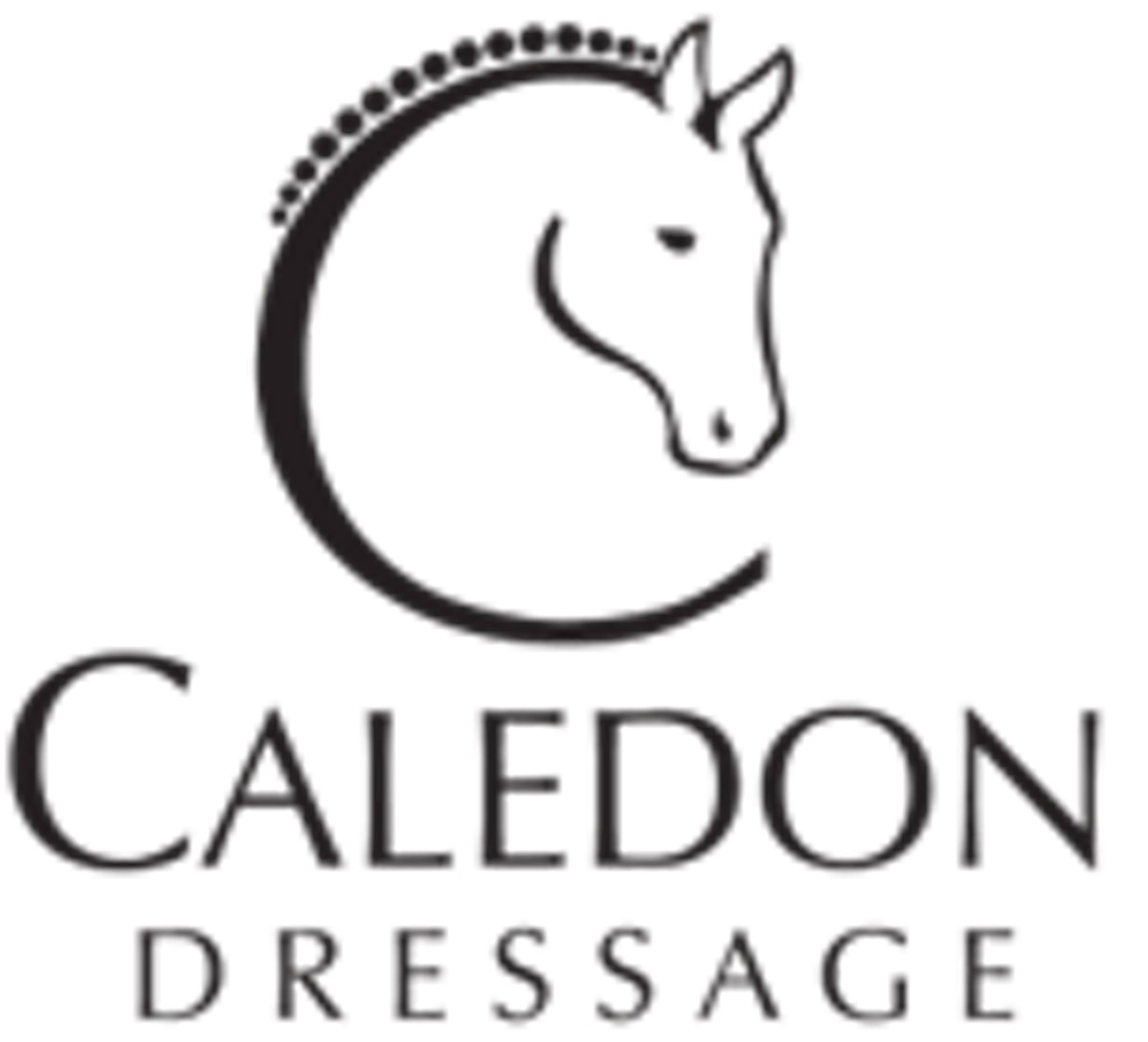 Scores 2023 CDI Caledon