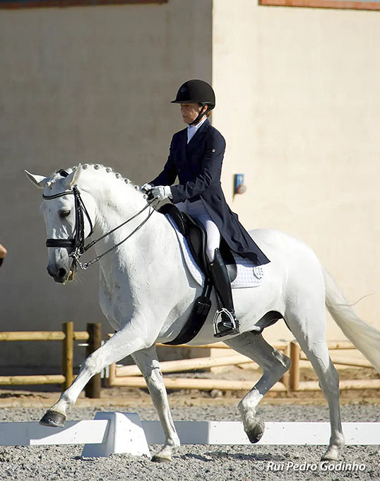 A equipa portuguesa para o Campeonato da Europa de Dressage 2023 foi anunciada