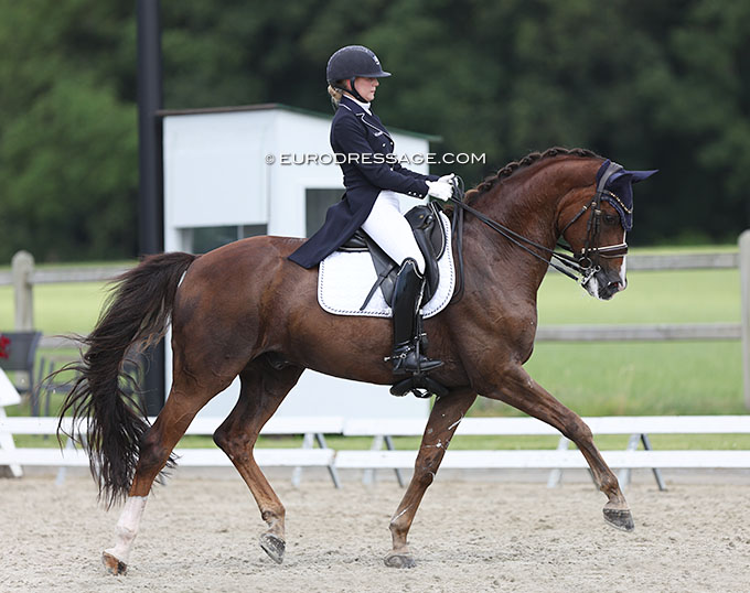 Finnish Youth Riders Welcome New Horses in the Barn