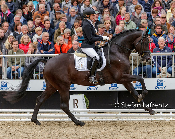 Der Hengst Robert Downey Jr. wird der junge deutsche Jockey-Hoffnungsträger