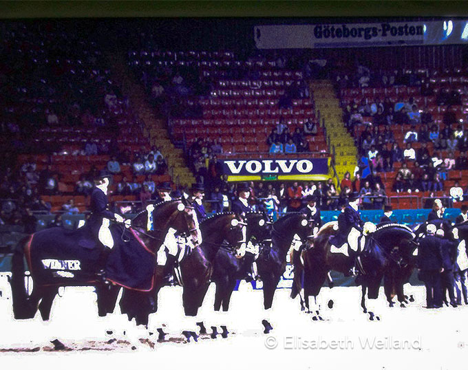 Blast from the Past 1989 World Cup Finals