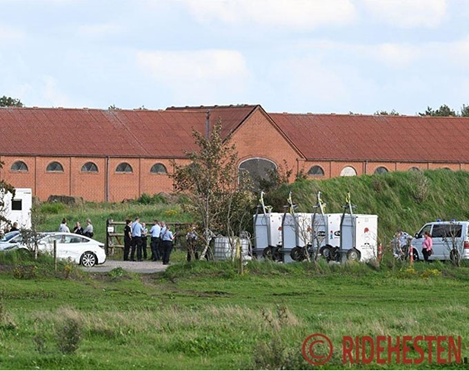 Horror Farm Viegaard Stutteri Sold to Advisor of Jon Byrialsen
