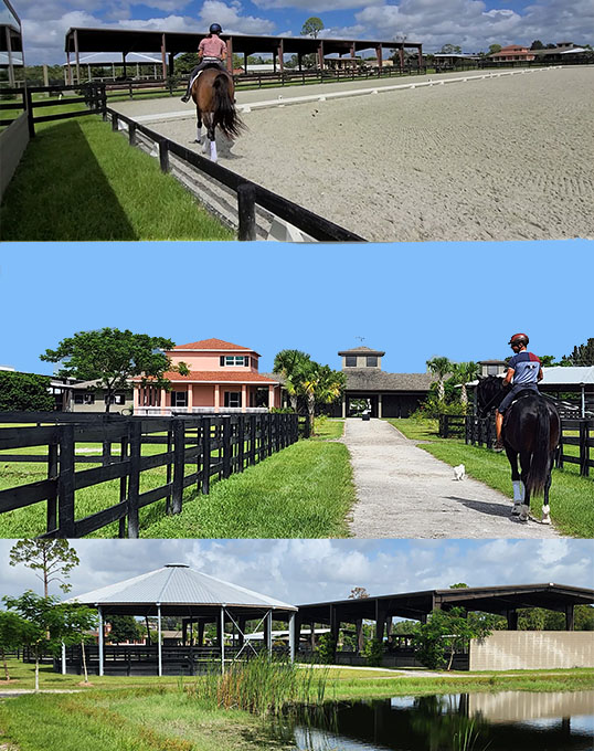 Stalls Available at Beautiful Poinciana Farm For Peaceful Wellington