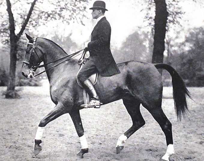 Richard Wätjen: The Forgotten Legend of Equestrian Sport and Classical ...