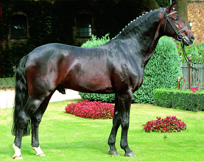 mariä himmelfahrt warendorf 2025 programm