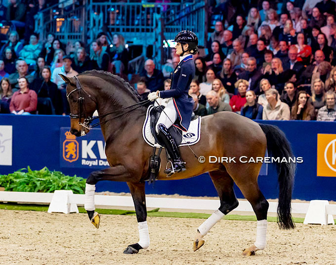 kwpn-sire-guardian-s-allocated-to-dutch-junior-rider