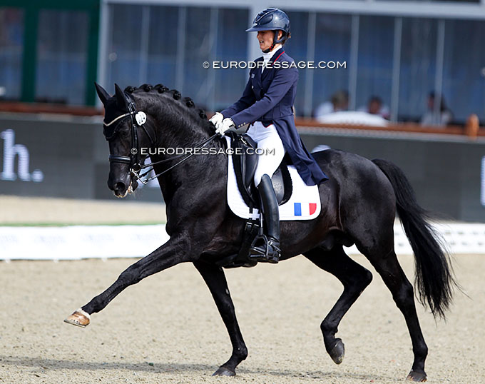 Cupido PB, Maxime Collard's Tokyo Olympic Team Horse, Retired from Sport