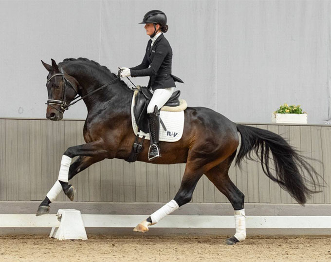 Cellini, Price Highlight of the 2026 Westfalian Summer Auction