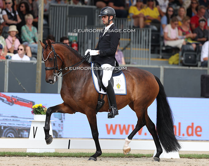 Francesca VH Sold to Danish Young Rider