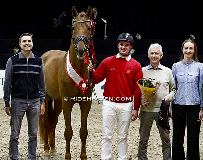 Ten Colts to Begin 2026 Danish Warmblood Autumn Stallion Performance Test