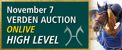 Hanoverian High level auction