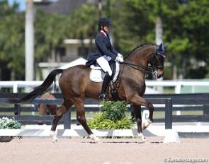 Beautiful photography in the national show ring at the Global Dressage Festival :: Photo © Astrid Appels