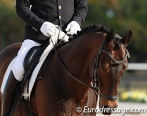 Scott Hassler on Diamo Gold in 2015 :: Photo © Astrid Appels