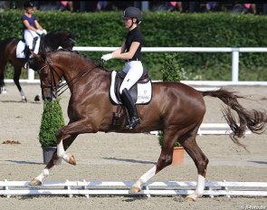 Hedda Droege and Ernesto at the 2016 German WCYH Selection Trial in Warendorf :: Photo © LL-foto