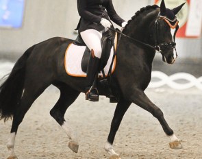 Fleur Prinsen and Next Black Magic at the 2017 CDI Aachen Indoor :: Photo © Astrid Appels