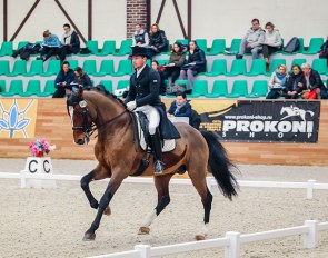 FEI Judges Course and Exam during the 2017 CDI-W Moscow at Maxima Park