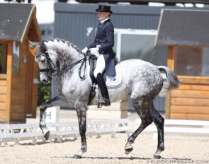 Anna Blomgren and Torveslettens Quattro at the 2017 CDI Roosendaal :: Photo © Astrid Appels