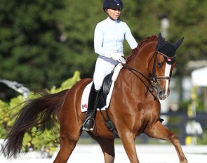 Jill Irving and Soccer City at the 2017 CDN Wellington :: Photo © Astrid Appels