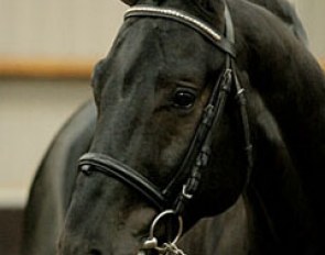 Dollar (by Vivaldi x Variant)