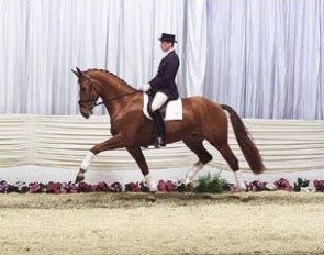 Weltmeyer Junior :: Photo © Tammo Ernst