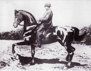 Beudant on Vallerine, an Anglo-Arab mare he trained when he was practically an invalid
