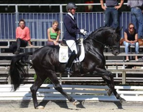 Meike Lang and Sorrento Snörri at the 2016 Bundeschampionate :: Photo © LL-foto