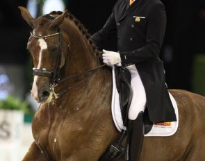 Patrick van der Meer and Zippo at the 2018 CDI-W 's Hertogenbosch :: Photo © Astrid Appels