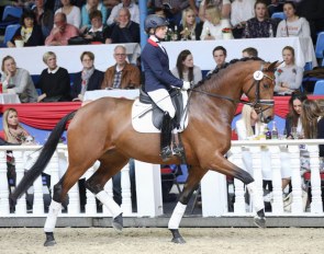 Karabella at the 2018 Oldenburg Spring Elite Auction :: Photo © LL-foto