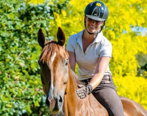 Hanoverians from Verden - friends for life