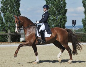 Terhi Stegars and Dalou Shan