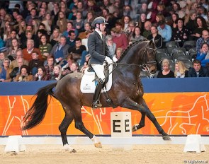 Inspire (by Everdale) tested positive to the WFFS gene :: Photo © Digishots