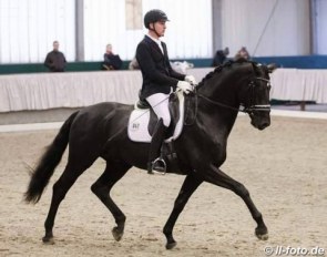 David Taylor and MDM Zodiac at the stallion sport test in February :: Photo © LL-foto