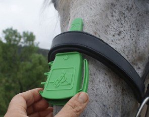 The ISES  Noseband Taper Gauge :: Photo © Christina Wilkins