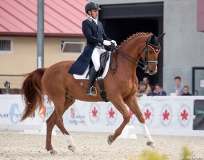 Juan Jose Gonzalez de las Cuevas and Denksport at the 2018 CDI Segovia :: Photo © Lily Forado