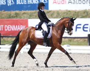 Ditte Kvistgaard on Divina at the 2018 CDIO Uggerhalne :: Photo © Astrid Appels