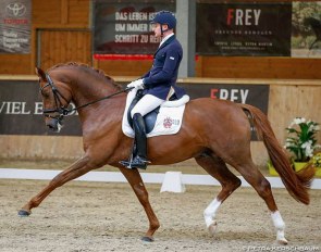 Matthias Rath and Destacado at the 2018 CDI Wiener Neustadt at the end of March :: Photo © Petra Kerschbaum