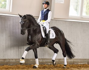 De Royal (by De Niro x Royal Dance)
